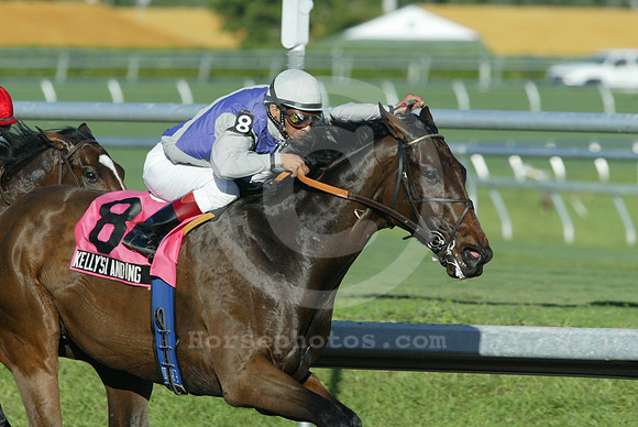 kellyslanding14_eg