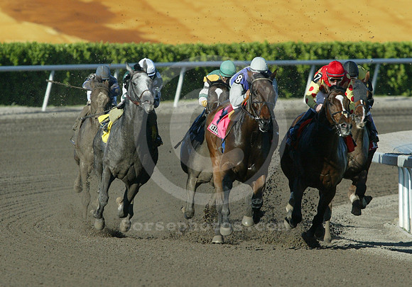 kellyslanding15_eg