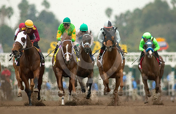 2007sunshinemillionsdistaff02_ae