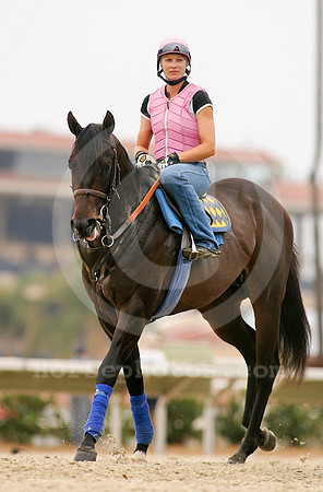 maimonides01