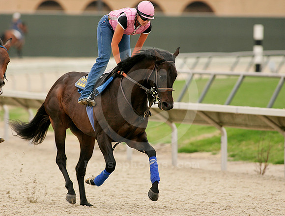 maimonides03