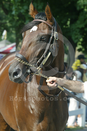 saarland21