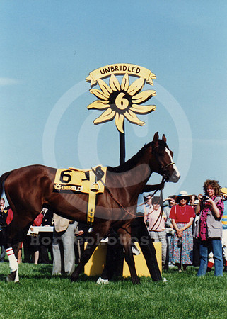 unbridled03