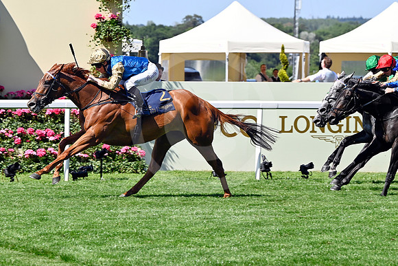 250618D489ROYAL_ASCOT