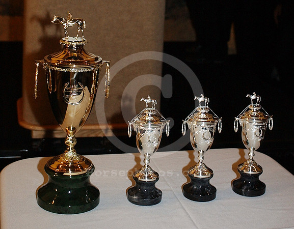 derby_trophy01_hr