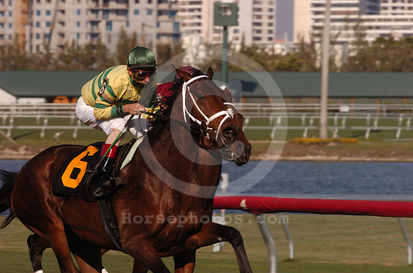 bejarano_hr