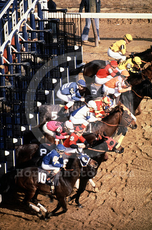 racingaction08v