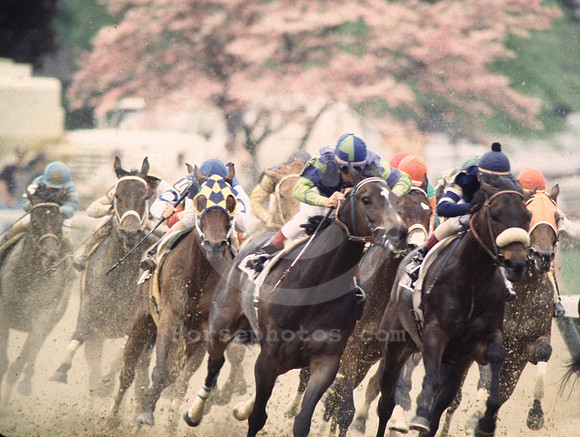 racingaction029