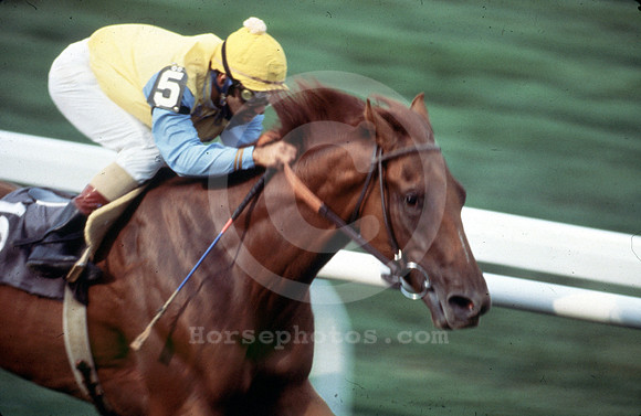 racingaction033