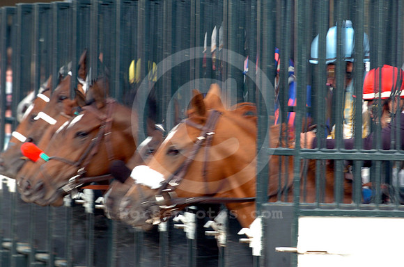 racingaction50_hr