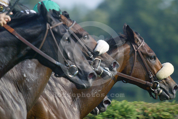 racingaction74