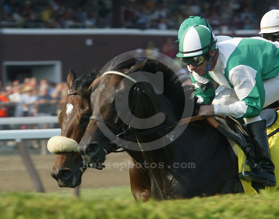racingaction79_dk