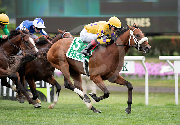 Far Bridge - Jose Ortiz win Belmont Derby 8