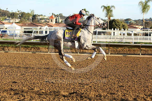 114tapit trice052