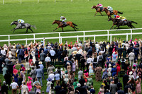 Charyn501ROYAL_ASCOT