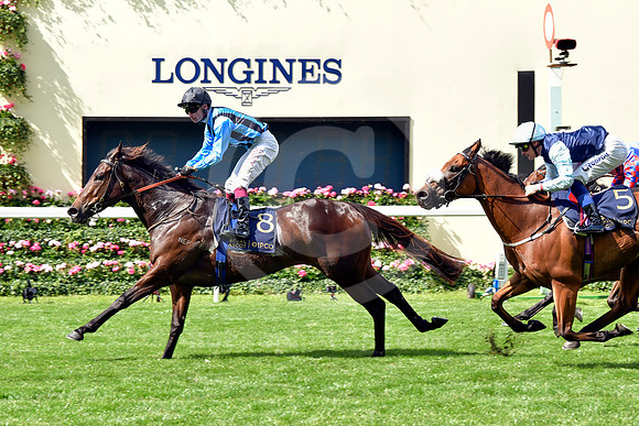 Asfoora18ROYAL_ASCOT