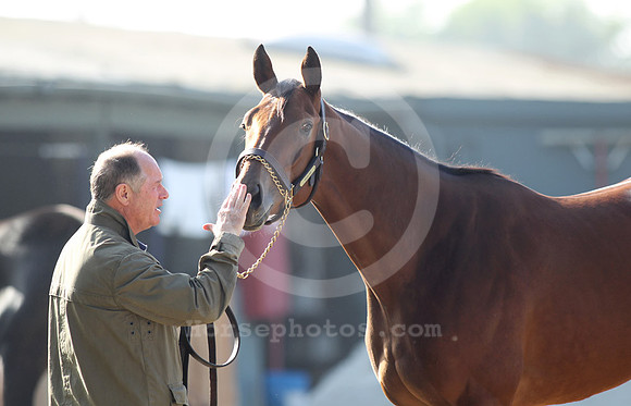 beholder23a_ljp