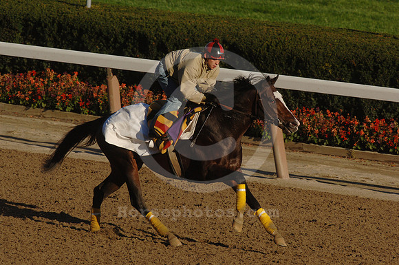 whipper06_jd