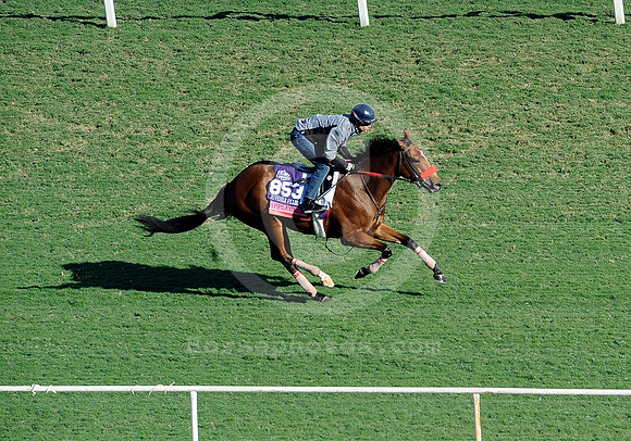 applecross07_hr