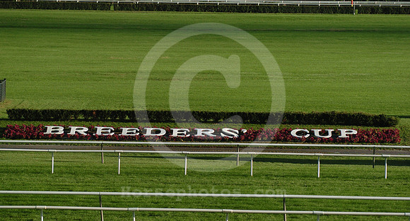 breederscuptrophy10_jd