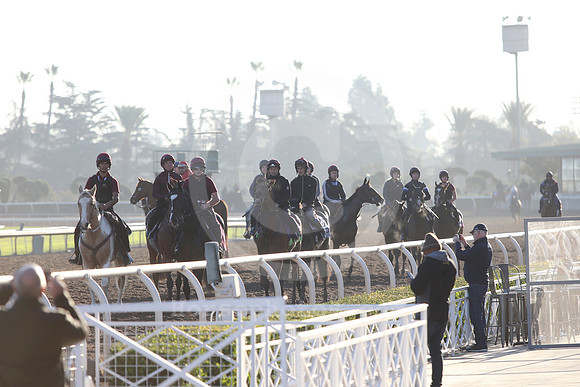 bc19_obriencontingent02_cg