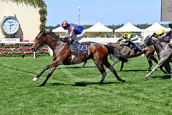 250618D479ROYAL_ASCOT