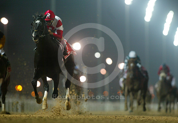 rosesinmay_dubai02
