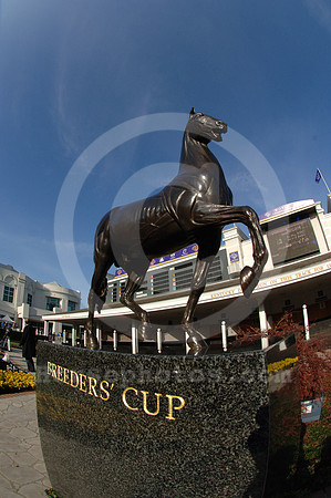 bc06breederscup05_jd