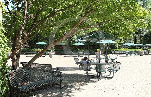 2020_belmont_stakes_day04_st
