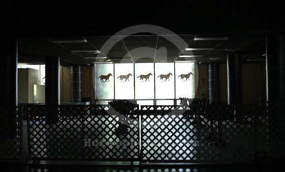 2020_belmont_stakes_day09_st