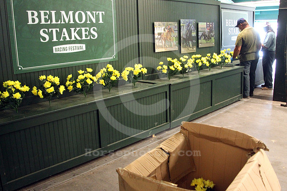 2020_belmont_stakes_day14_st