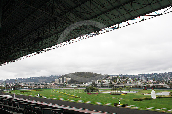 goldengatefields01_ljp