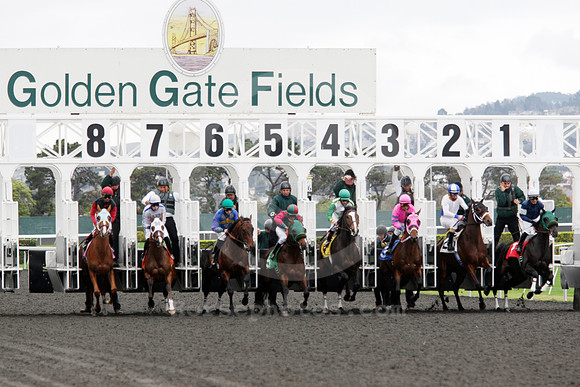 goldengatefields03_ljp