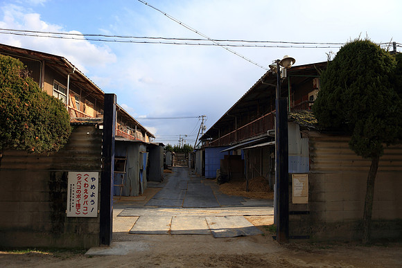 fukuyamaracecourse04_tm