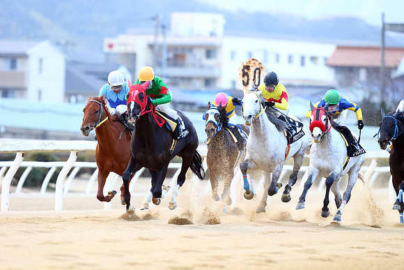 fukuyamaracecourse07_tm