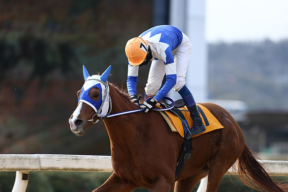 fukuyamaracecourse08_tm