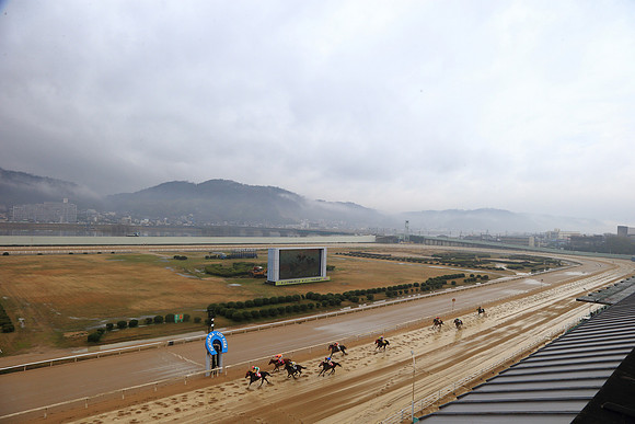 fukuyamaracecourse15_tm