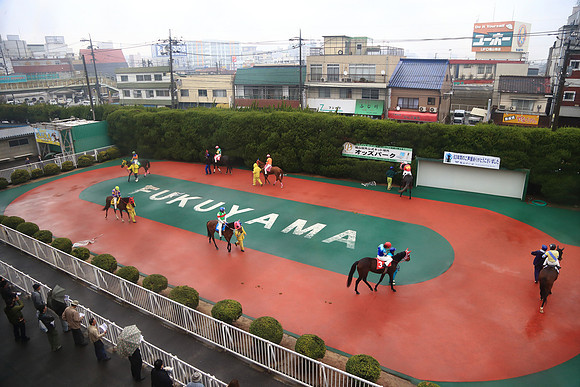 fukuyamaracecourse16_tm
