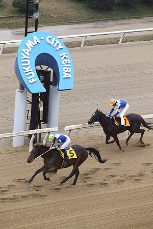 fukuyamaracecourse17_tm