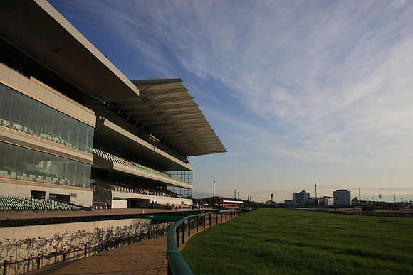 chukyo13_tm