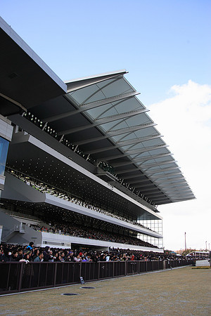 chukyo16_tm