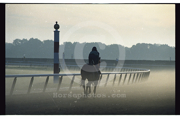 156_belmontfog01