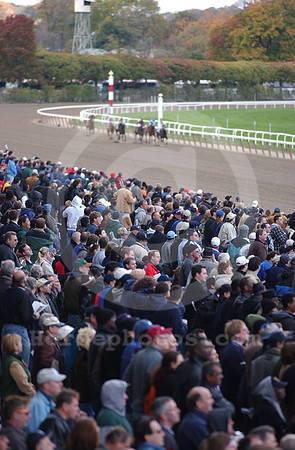 bc01crowd02_jd