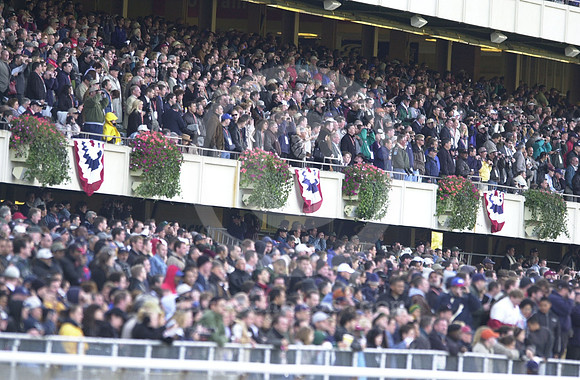 bc01fans01_hr