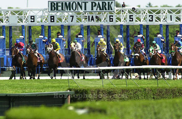 belmont_gate_04_hr