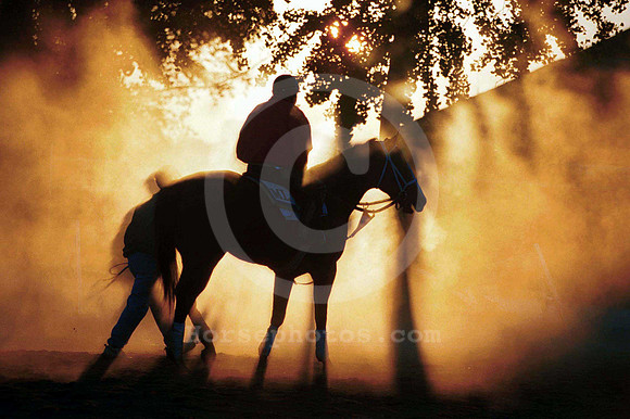 belmont_morning01_hr