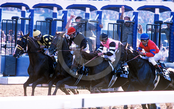 belmont_start_hr