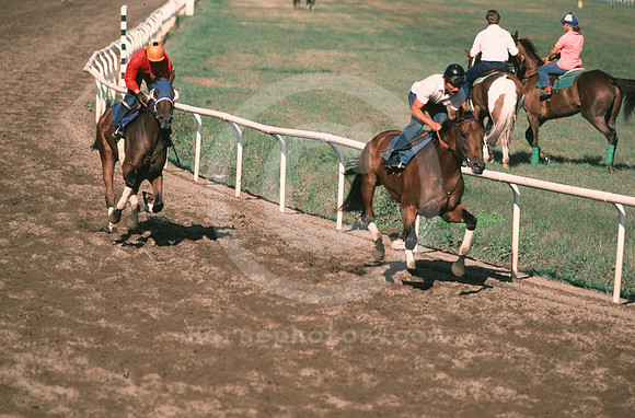 belmont951