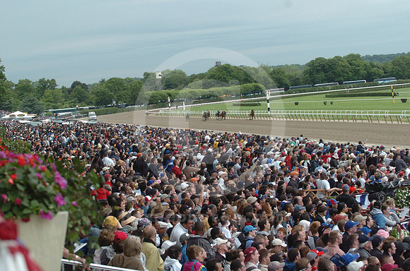 belmontcrowd14_jd