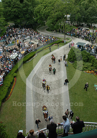belmontpaddock06_jd
